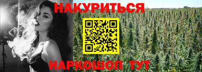 индика Первоуральск