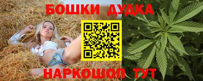 индика Первоуральск