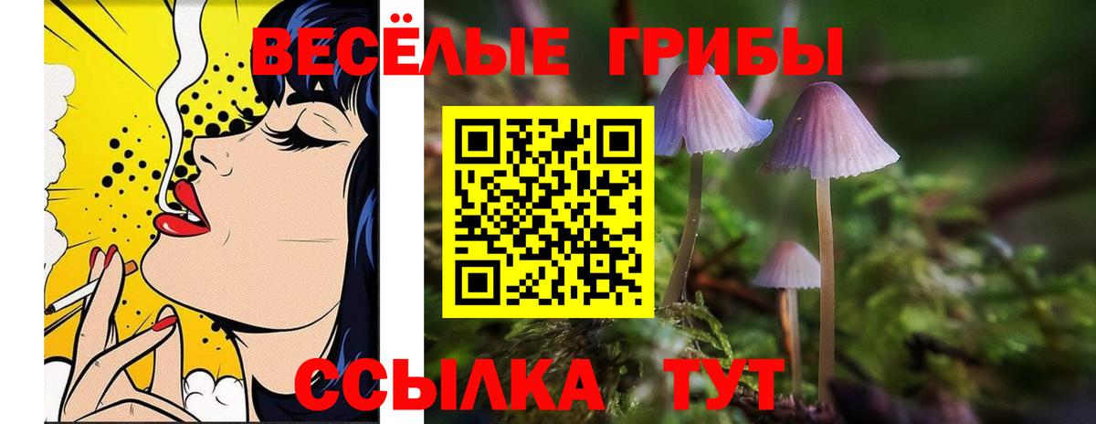 Псилоцибиновые грибы MAGIC MUSHROOMS  Вход с VPN  закладки  Сочи 